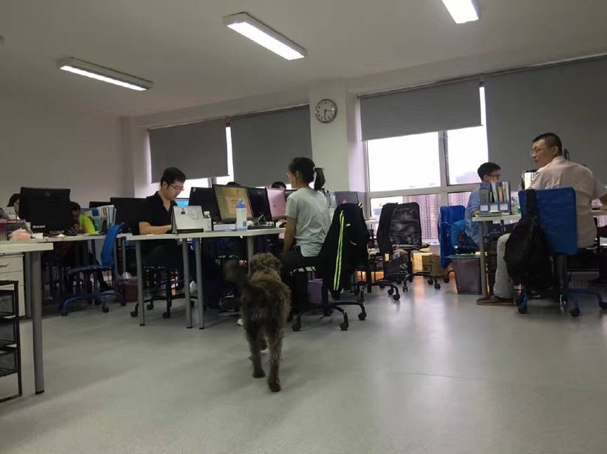 把基因产品单价降到39.9元，奇云诺德罗奇斌