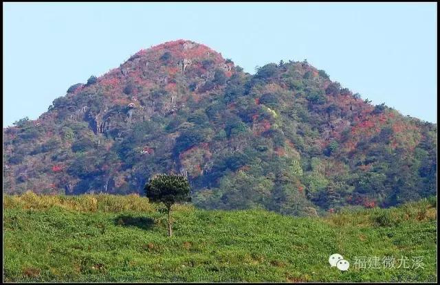 尤溪最高的山海拔多高,尤溪县海拔最高是哪座山