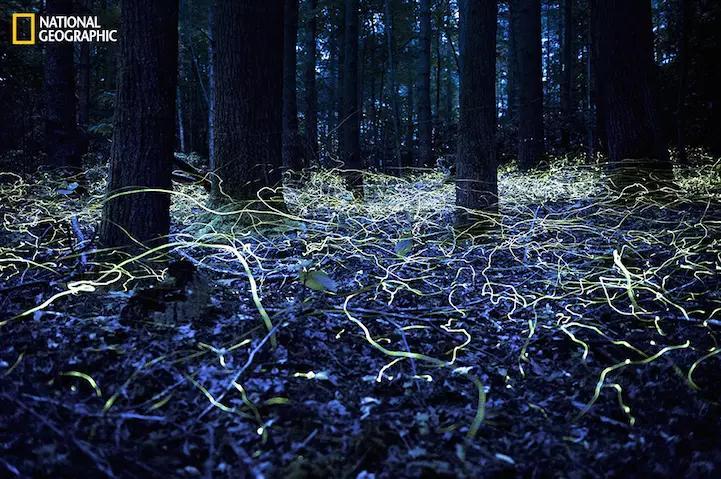 世界上最美的23张图,世界上最美的20张照片