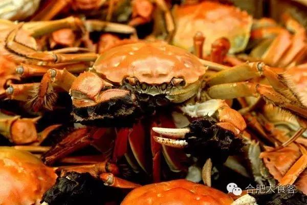 合肥螃蟹,合肥哪里吃大闸蟹最正宗