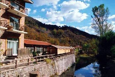 国庆带狗狗适合去哪玩,国庆狗狗出去浪