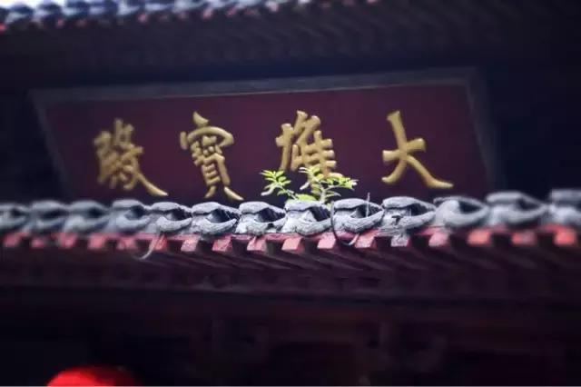 镇江江中浮玉焦山“东入口”建成