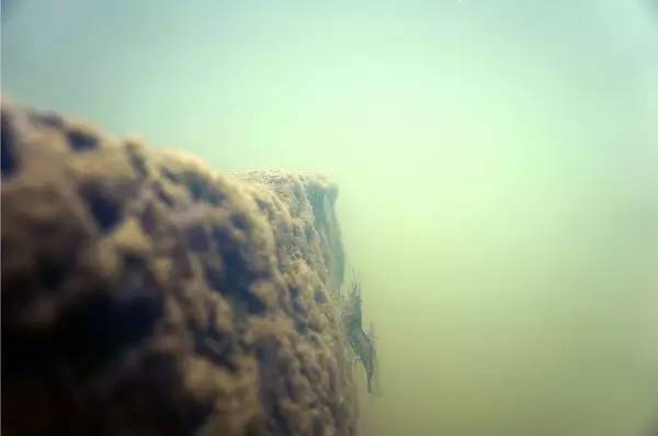 西溪湿地，真的不像表面那么简单！现在就带你去看