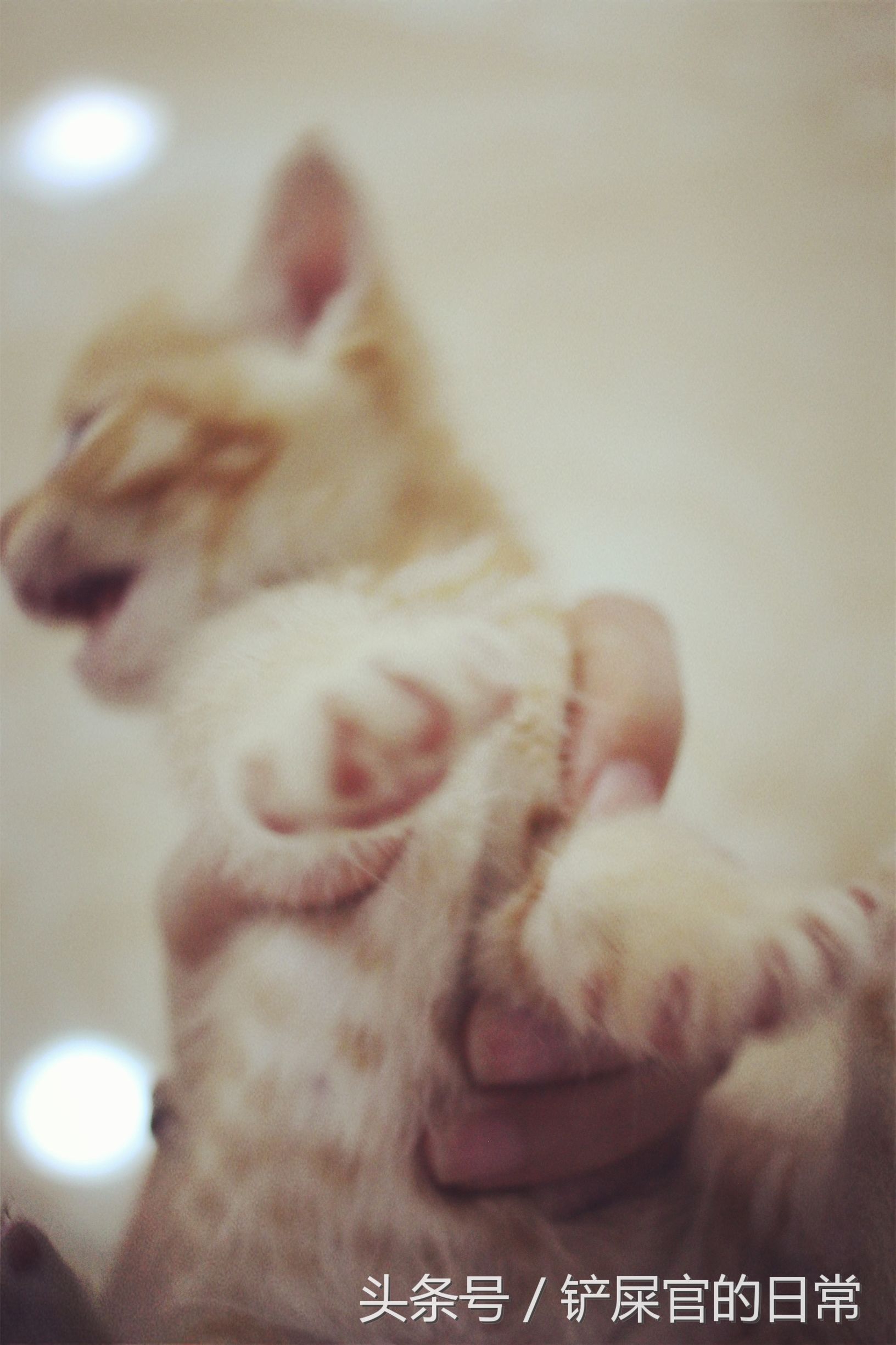 婊℃湀鐚挭鍊煎緱楂樺叴鐨勪簨,钀岀尗鍜垰婊℃湀