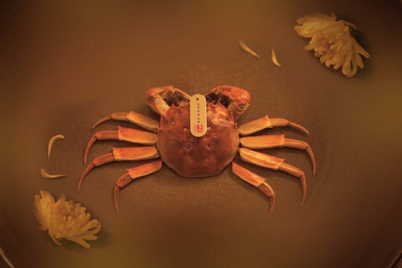 吃了一只大闸蟹的美女被新浪等各大媒体封为“螃蟹女神”