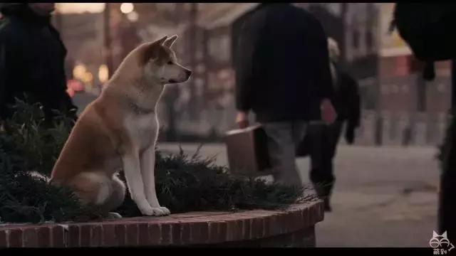 有哪些少年感很强的剧,有什么好看的剧少女心爆棚