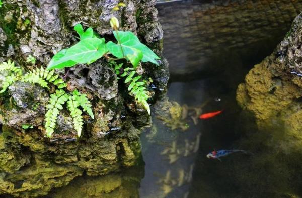 成都国庆悠闲一点到绵竹九龙吧！邻家女孩的感觉！