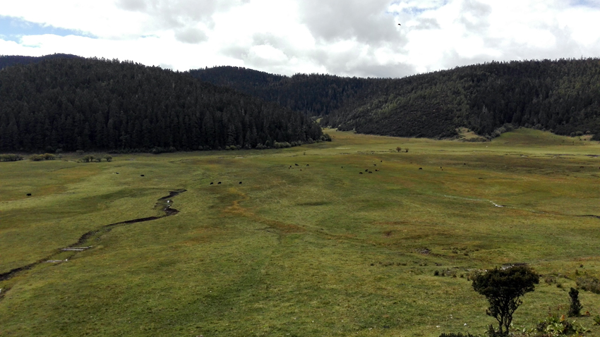 神奇神秘神圣的香格里拉,神秘的香格里拉大结局