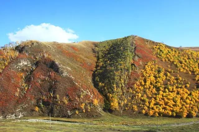 辉腾锡勒黄花沟风景,辉腾锡勒大草原黄花沟的美景