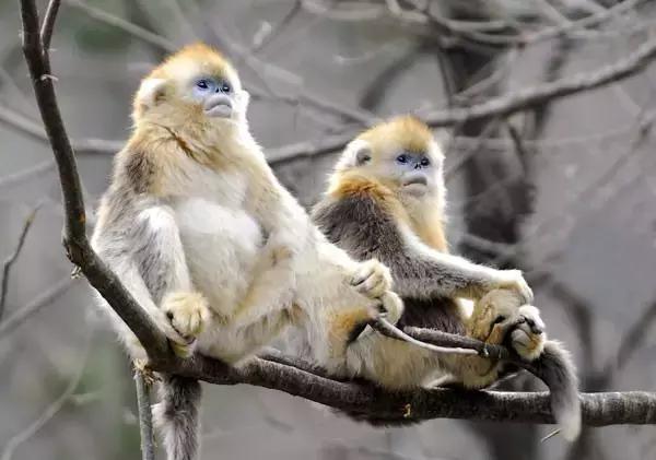 如果你来广元,我才不带你去剑门关嘞!