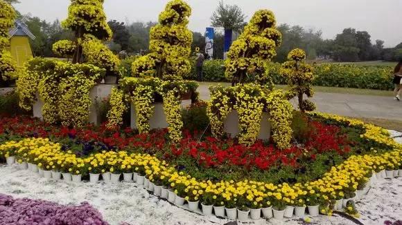 合肥市国庆期间有哪些亮点,合肥国庆七天怎么安排