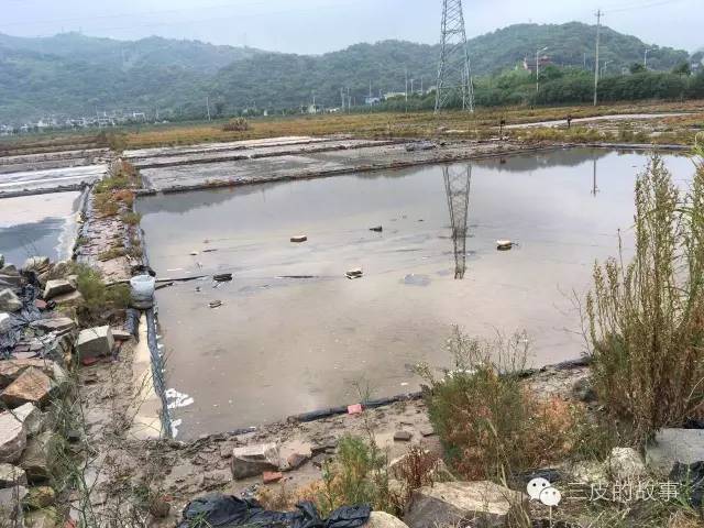 衢山岛自驾游怎么上岛,衢山岛房车自驾游攻略