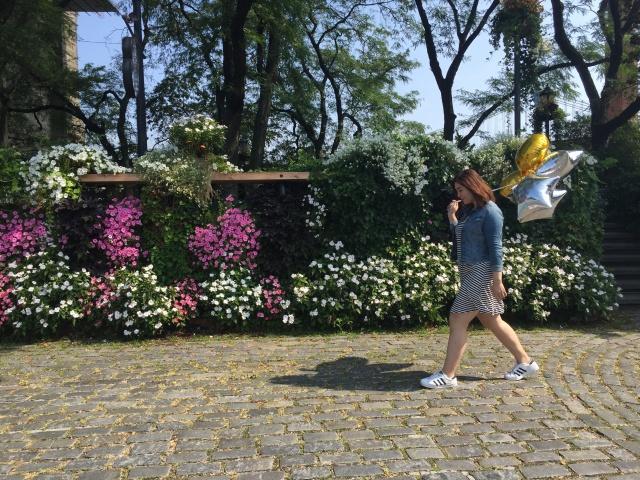 胖妞努力是人生该有的态度,胖妞的成长之路