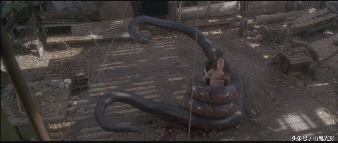 十部顶级巨蟒,盘点不同系列的巨蟒