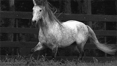 逗逼先僧:完了以后能不能给我舔舔,搞笑gif图片合集6