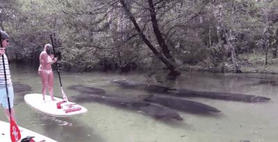 今天是我生日,我决定要破费一下