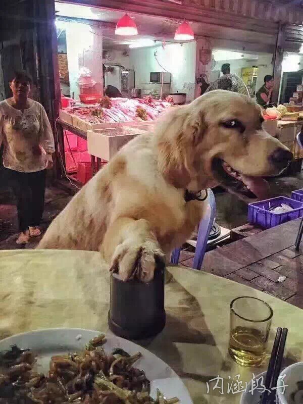 今天是我生日,我决定要破费一下