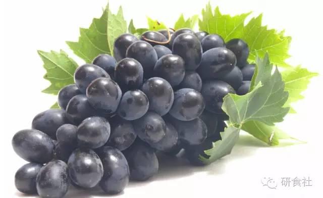 健康养生鲜酿酵素,一杯鲜酿酵素的快乐