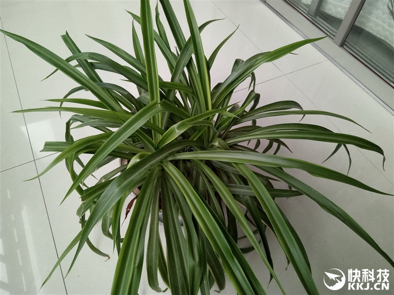 华为畅享6最新报价,华为畅享6测评