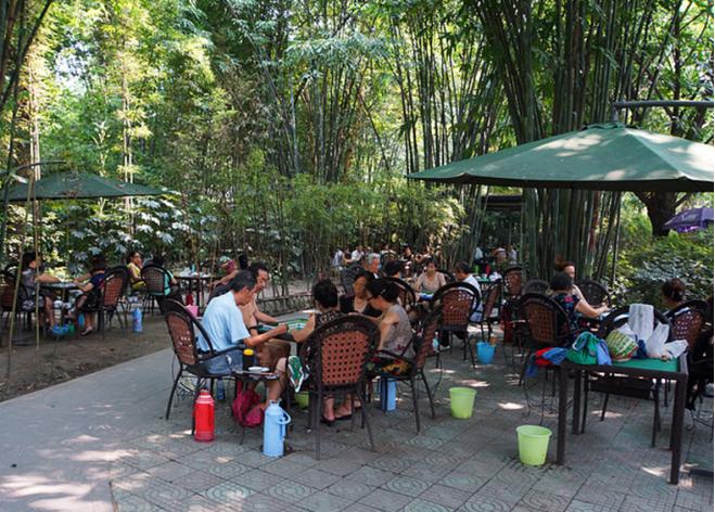 成都在全球的知名度和美誉度,成都网络论坛最新消息