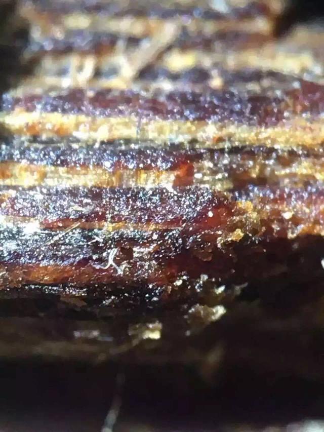 富二代为淘美女欢心,花80买一克奇楠沉香,美女看到当场说分手