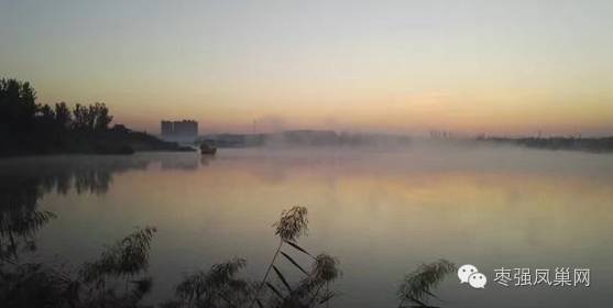 枣强风景视频,枣强县风景图片