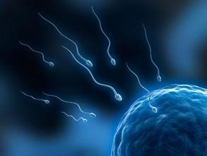 来看看你家男人还剩多少活着的“小蝌蚪”？