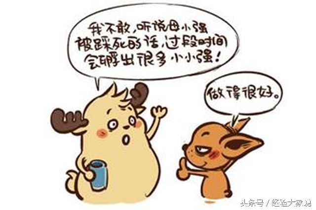 有蟑螂怎么办灭蟑螂最有效的方法,家里有蟑螂怎么消灭小窍门