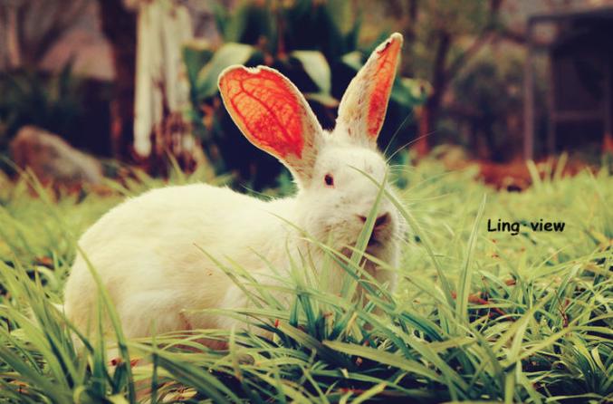 杭州热土庄园游玩攻略,杭州热土庄园位置