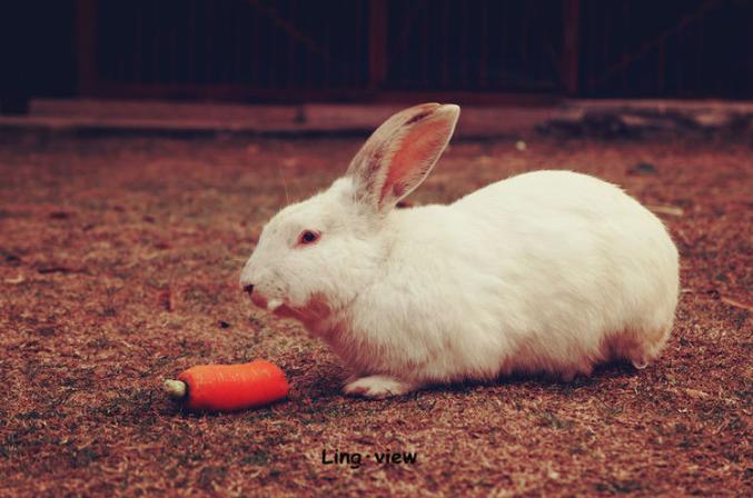 杭州热土庄园游玩攻略,杭州热土庄园位置