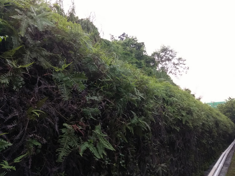 cool1dual参数,cool1dual手机