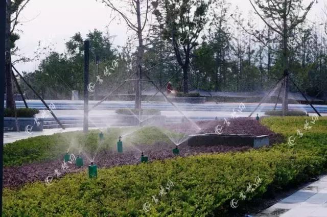 十堰新增公园,十堰国家森林公园图片