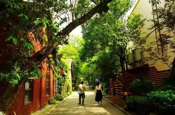 十堰新增公园,十堰国家森林公园图片