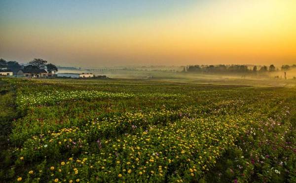 合肥四大新地标,发现惊天大秘密
