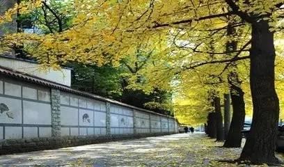 四川十大最黑景点,四川最土的景点