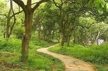 四川十大最黑景点,四川最土的景点