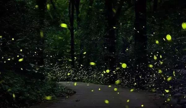 杭州各行各业平均工资排行榜,2017年杭州平均工资