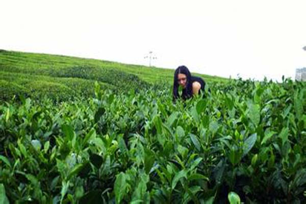 贵州人叫你幺儿是什么意思,贵州人叫你幺儿