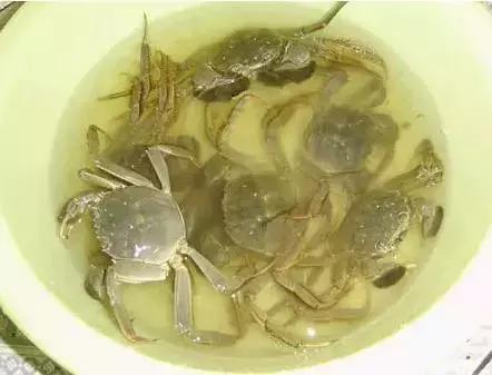 洗螃蟹的正确方法公螃蟹,洗螃蟹刷螃蟹的步骤