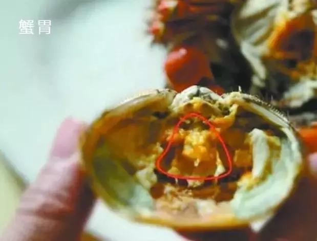 洗螃蟹的正确方法公螃蟹,洗螃蟹刷螃蟹的步骤
