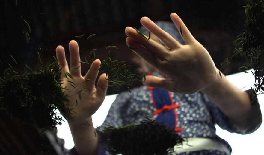 缠论炒股入门,如何用缠论详细分析一个股