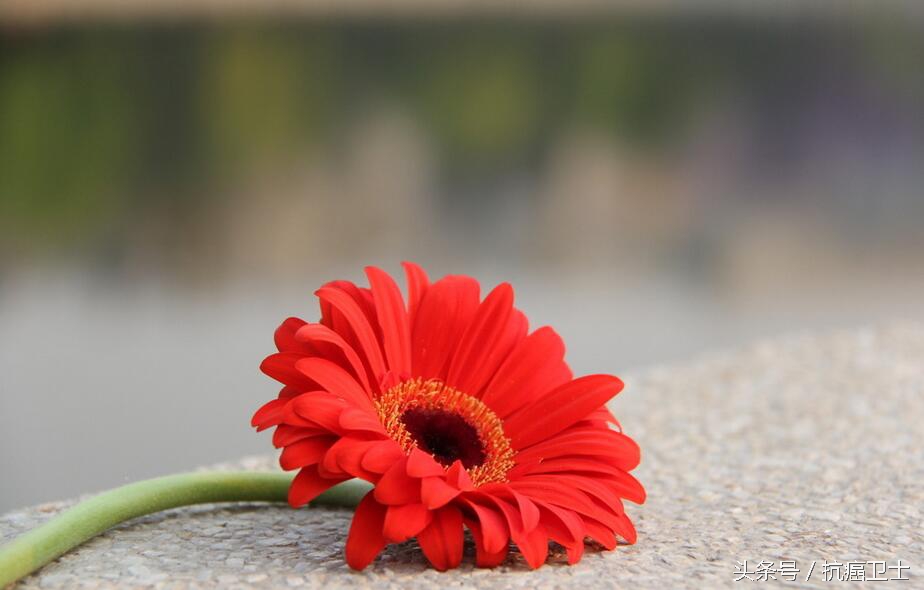 适合每一位家里有重病的人阅读：癌症老者的生死观，值得敬重！