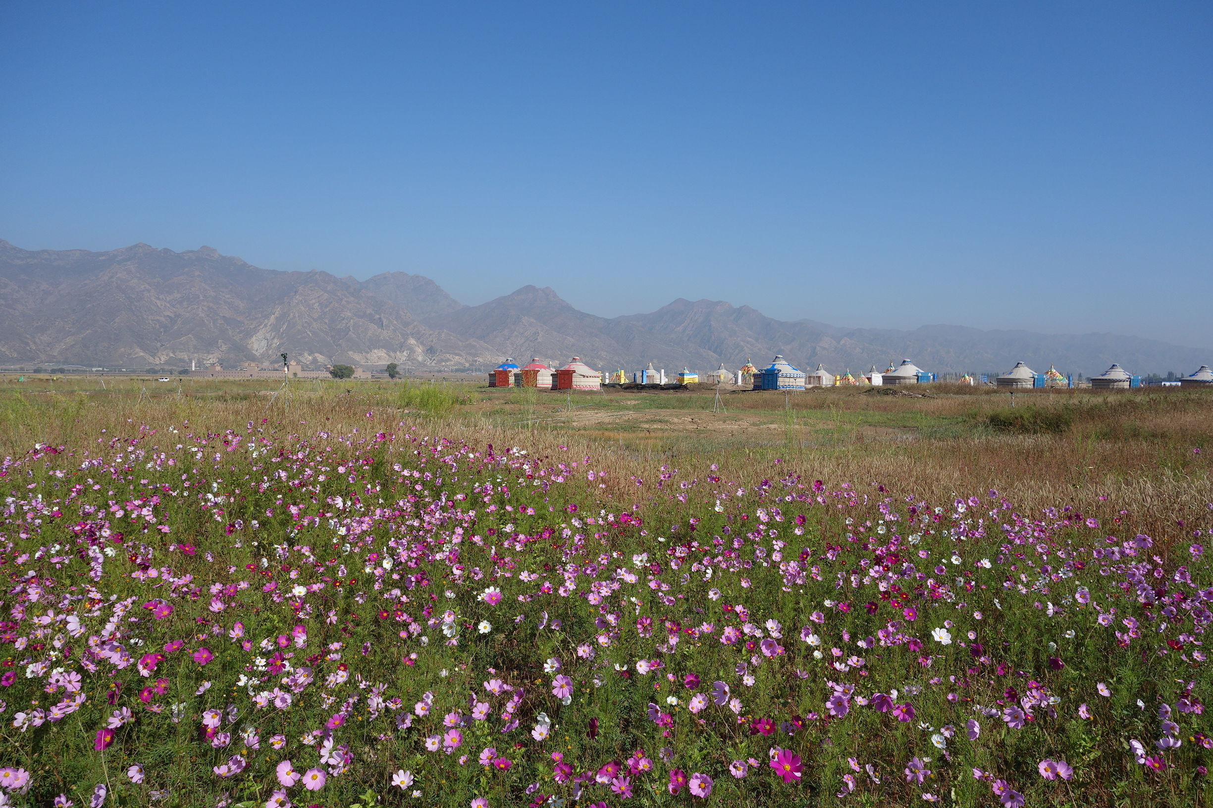 哈素海图片,内蒙古哈素海风景