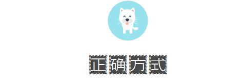 一千平室外宠物乐园,拥有数百只流浪猫的猫咪公园