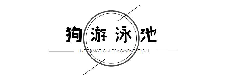 一千平室外宠物乐园,拥有数百只流浪猫的猫咪公园