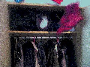 小众背包推荐,推荐新年适合背的背包