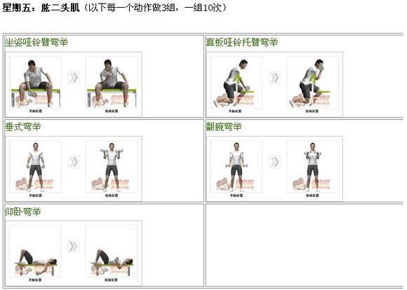 哑铃凳和哑铃健身计划,哑铃居家健身一周计划