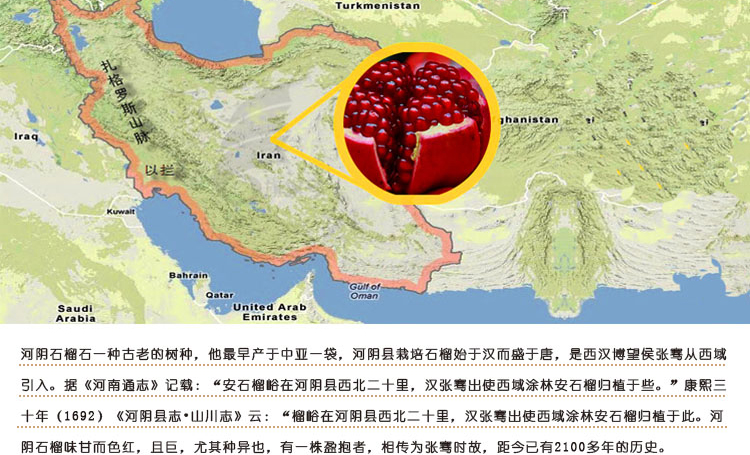 糖尿病吃哪种石榴,糖尿病人可以吃软籽石榴吗