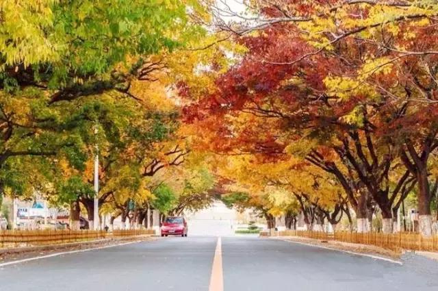 大连能成为国际知名城市吗,大连海鲜全国出名吗