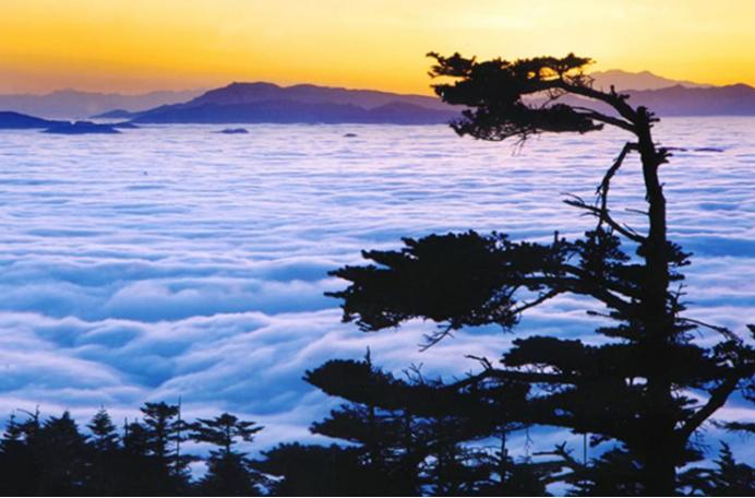 成都在全球的知名度和美誉度,成都网络论坛最新消息